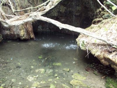 The shaded freshwater grotto at the Baths of Aphrodite