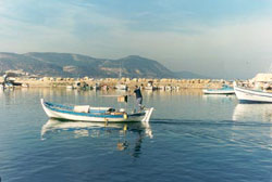 Latchi harbour